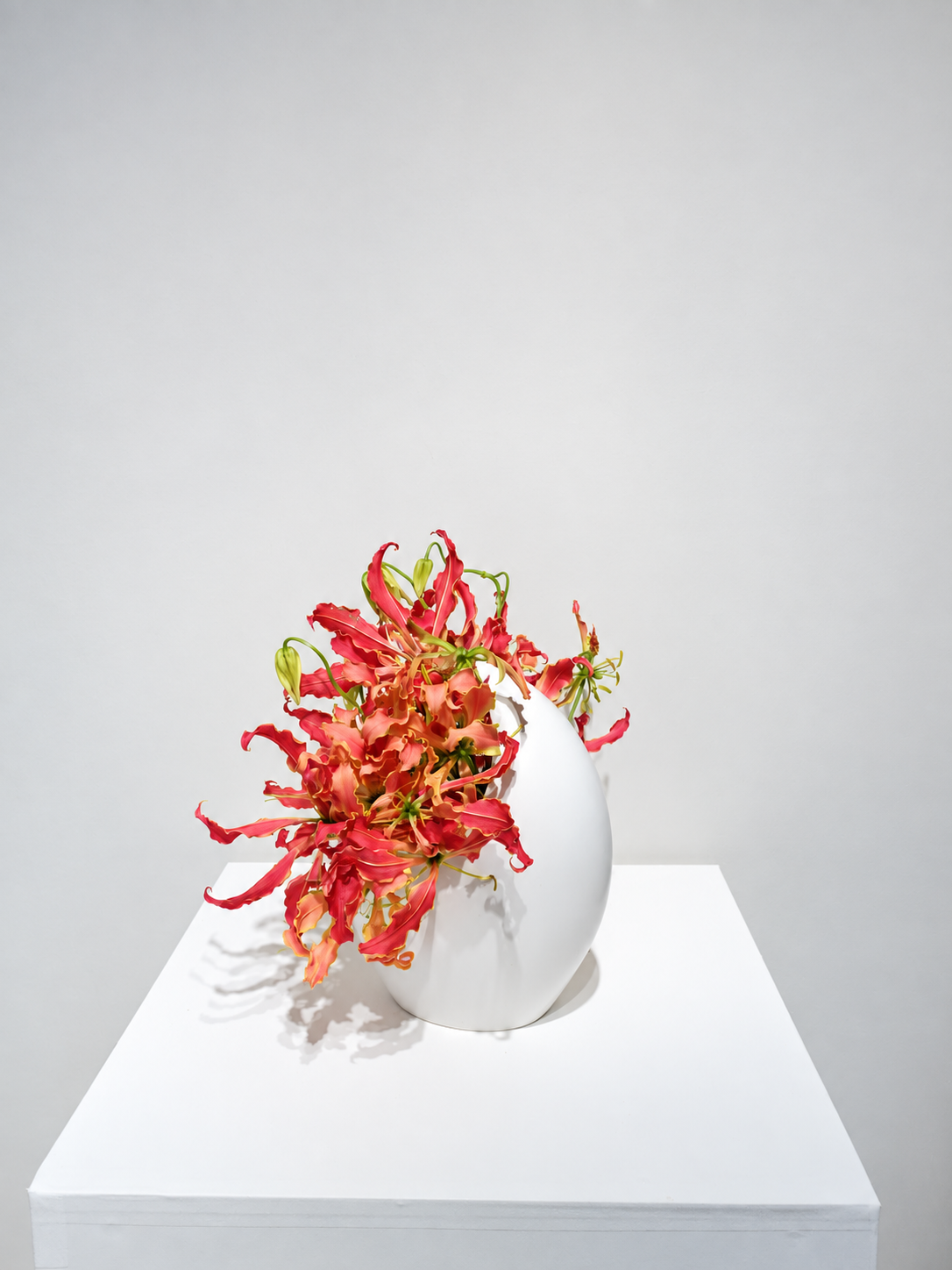 白い花器に赤いグロリオサをいけた自由花の作品イメージ